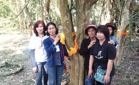 Six woman standing next to tree with yellow ribbon around it.