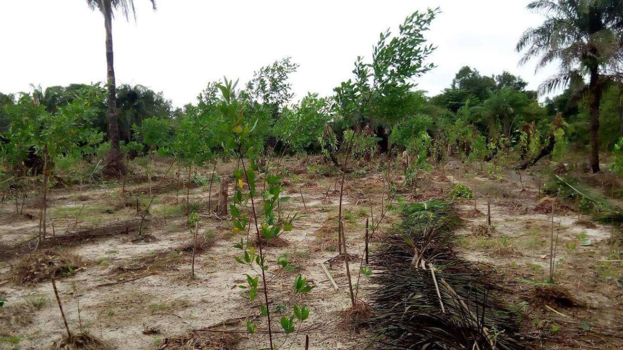 Degraded farmland