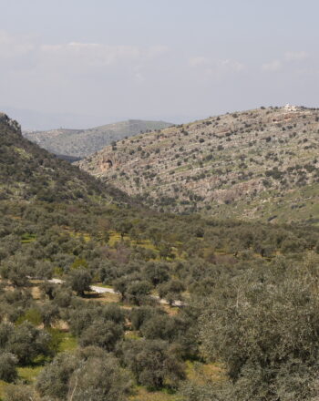 Ajloun KBA, Jordan.