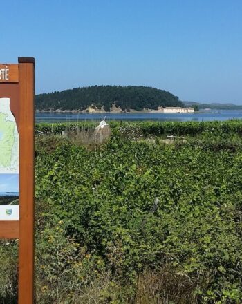 Protectee landscape sign in front of greenery and, beyond that, water.