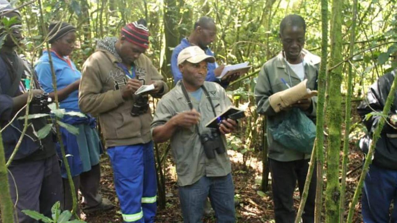Group of 7 people in forest with notepads and binoculars.