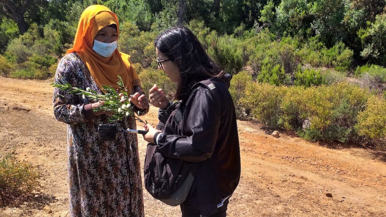 Two women outside discussing plant that one of the women holds in her hand.