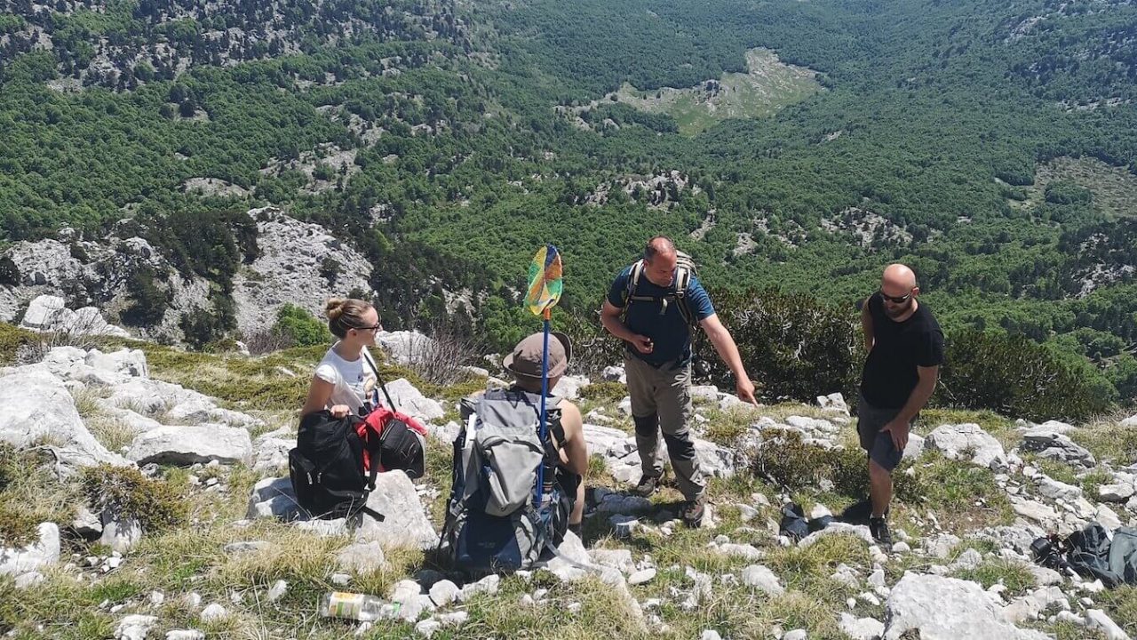 Four people on mountain.