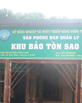 Large sign in Vietnamese.