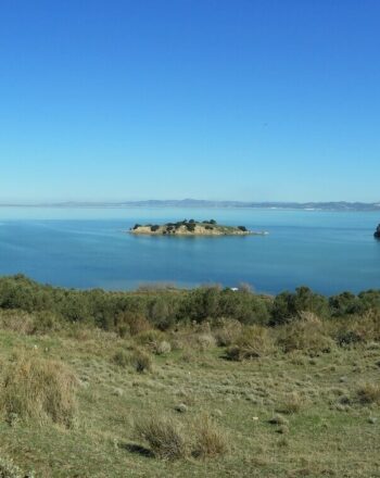 Green landscape in foreground, water beyond.