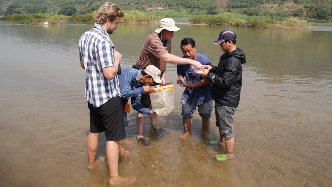 Five men in ankle-deep water, working together.