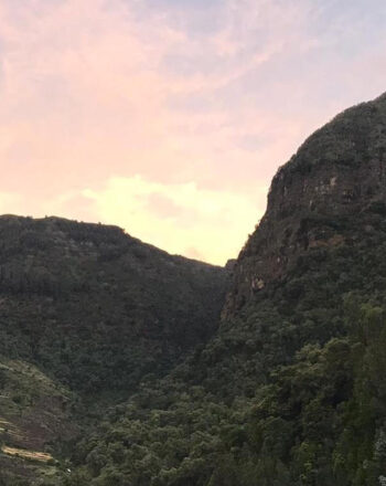 Sunset/Sunrise over foliage-rich mountain.