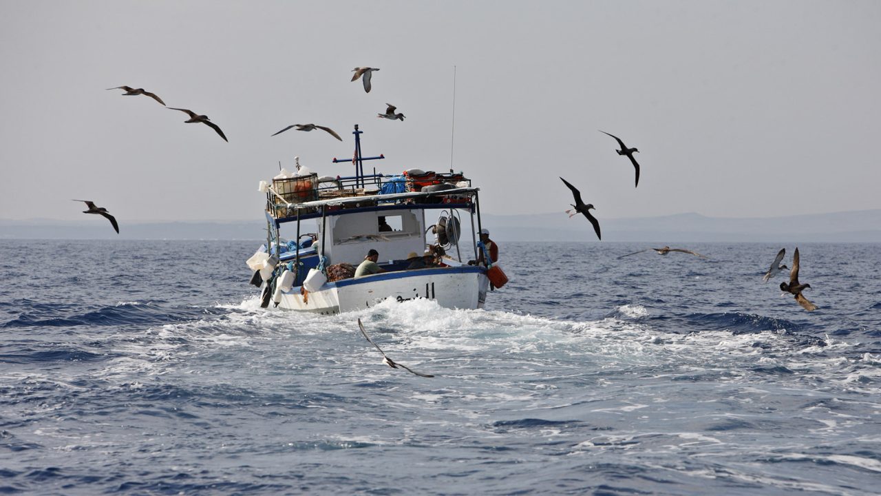Tunisian fisherman sailing in Zembra Protected Area, Tunisia.
