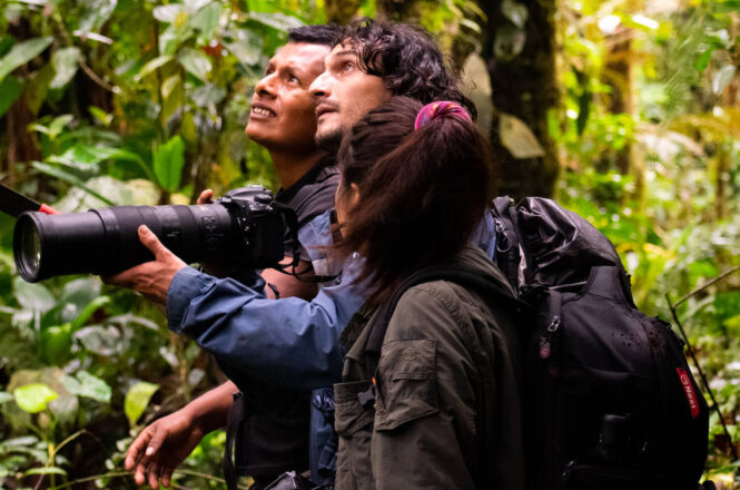 Two men and one woman in forest, looking up. One man holds camera with long lens.