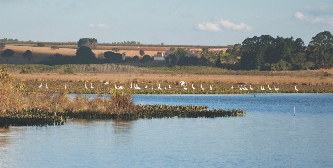 Water landscapes with birds in the distance.