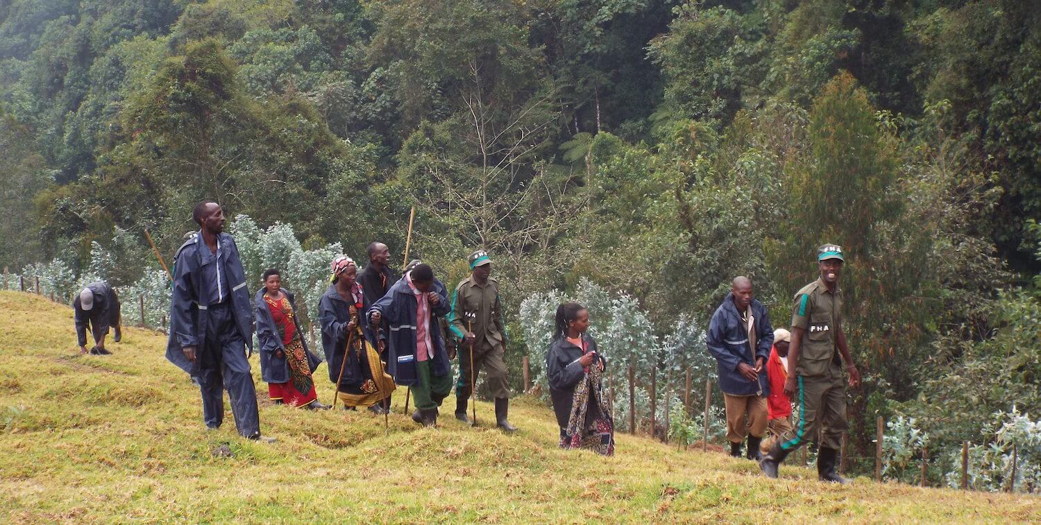 Groupe de personnes marchant sur la colline, forêt en arrière-plan.