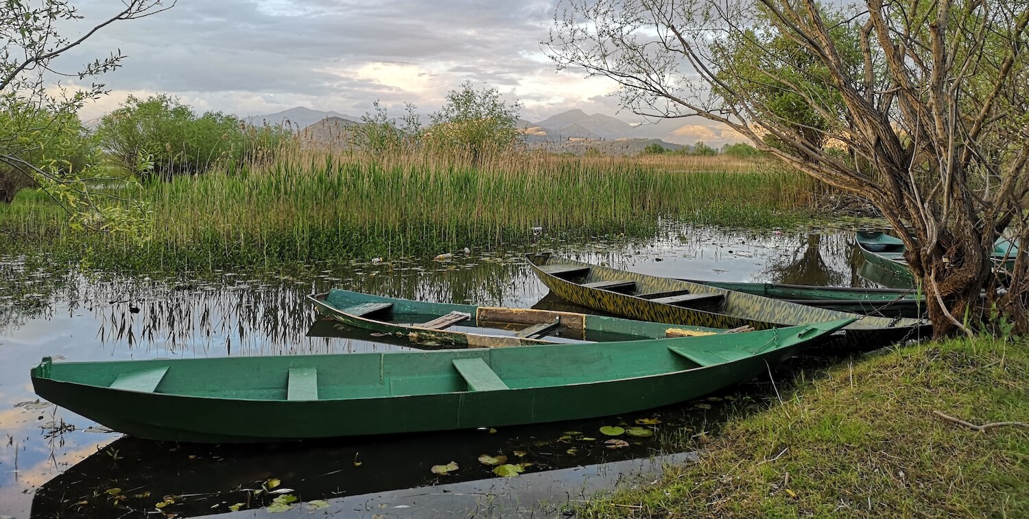 Close-up of 5 simple fishing boats moored on edge of lake.