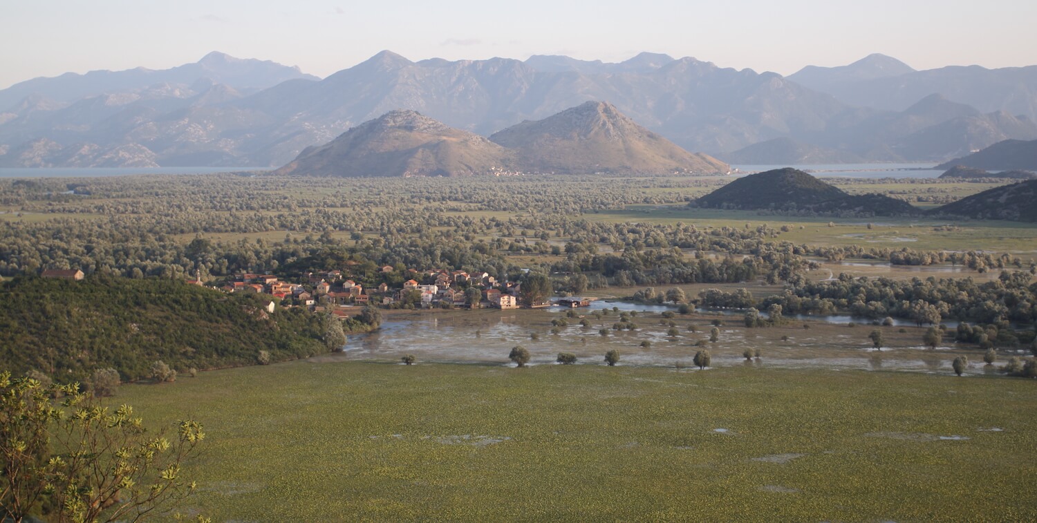 Paisaje con montañas de fondo.