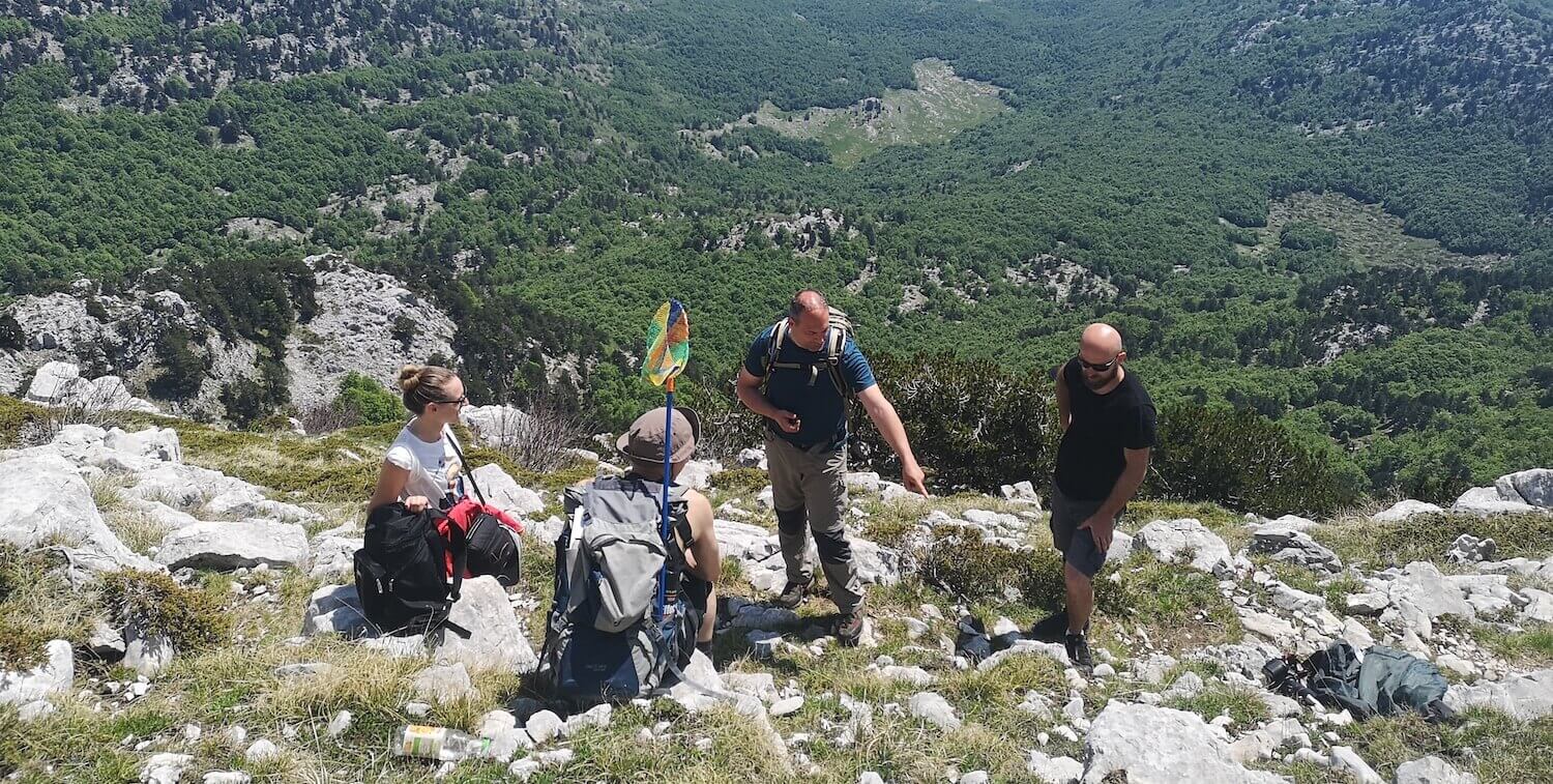Cuatro personas en la montaña.