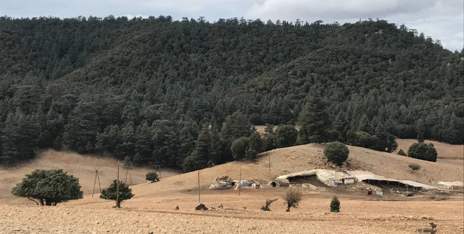 Bosques y pastizales en las montañas del Alto Atlas