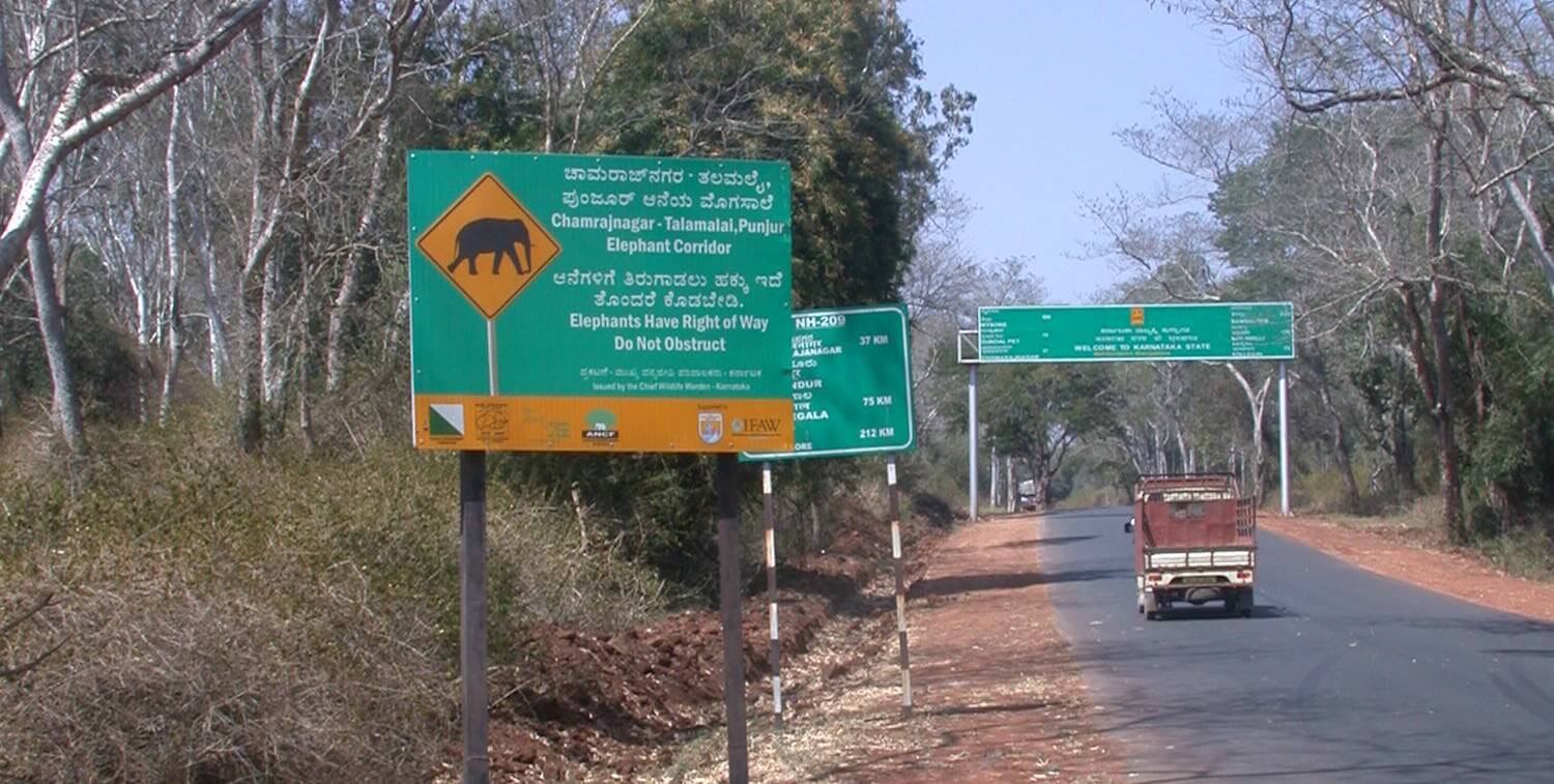 Sign telling motorists that elephants have the right of way.