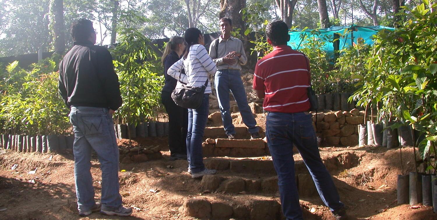 Cinco personas se paran en medio de muchas plantas en macetas.