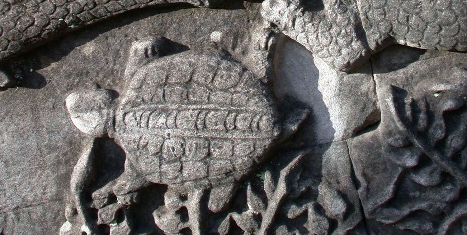 Turtle depicted on frieze.