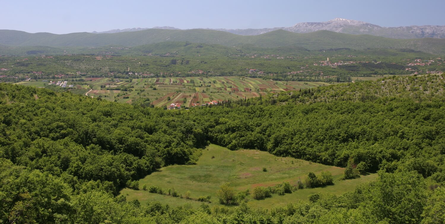 Green valley, agriculture in background.