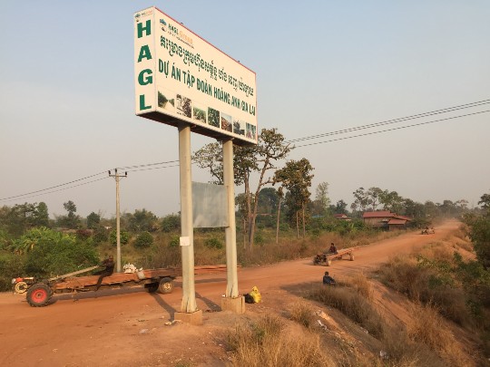 Madera extraída de la plantación de caucho de propiedad vietnamita Hoang Anh Gia Lai, Camboya