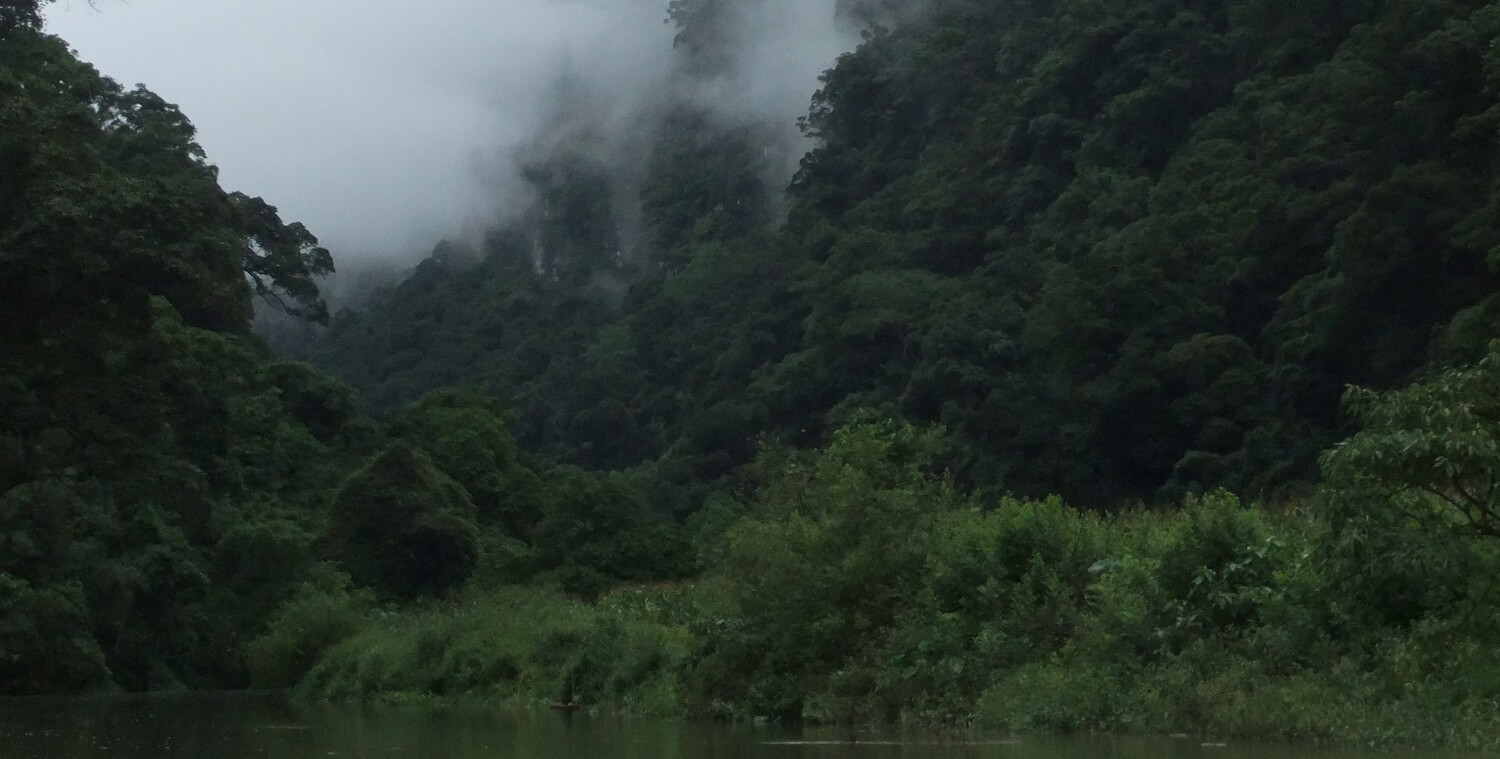 Lush valley with clouds.