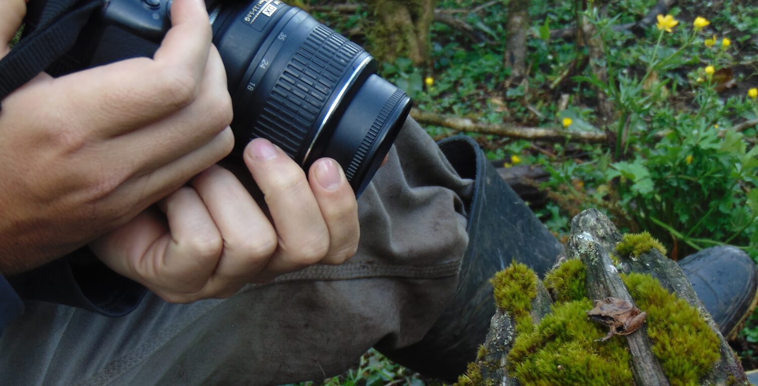 Primer plano del fotógrafo fotografiando una rana muy pequeña.