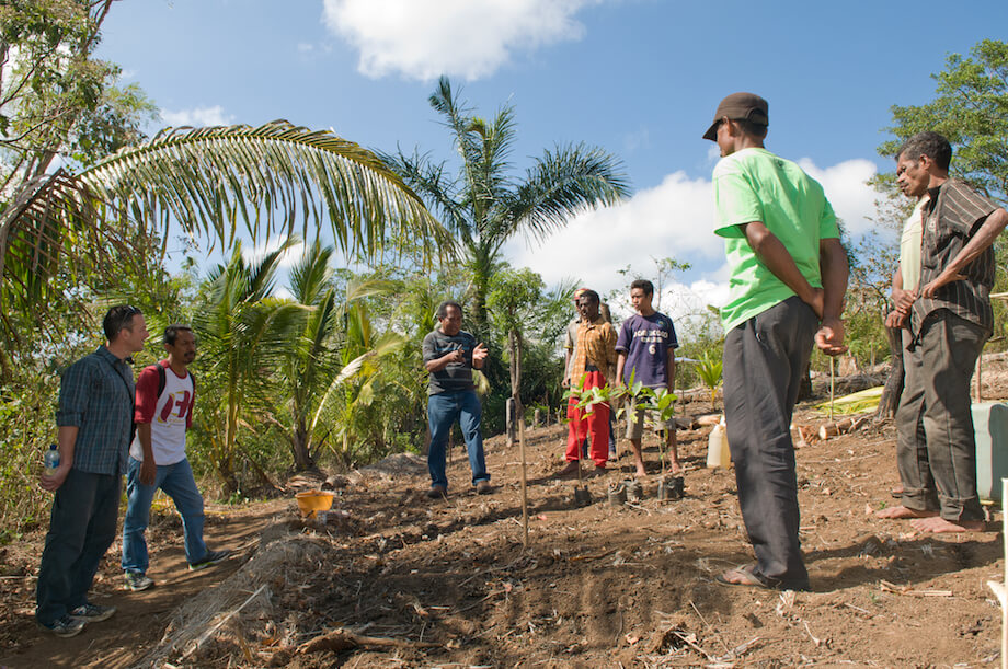 Group of men standing on soil near a few small trees ready to be planted.