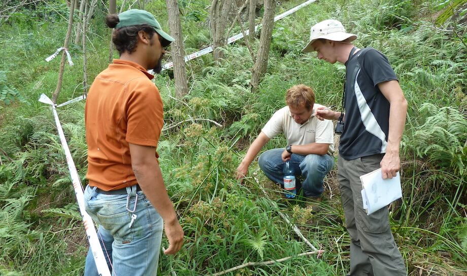 Tres hombres examinan las plantas acordonadas en una zona boscosa de la Isla de Pascua, en el Hotspot de Biodiversidad de Polinesia-Micronesia.