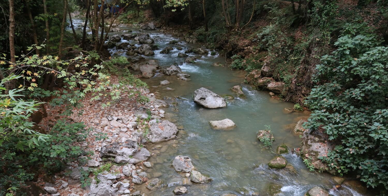 Primer plano de un río poco profundo que serpentea a través del bosque.