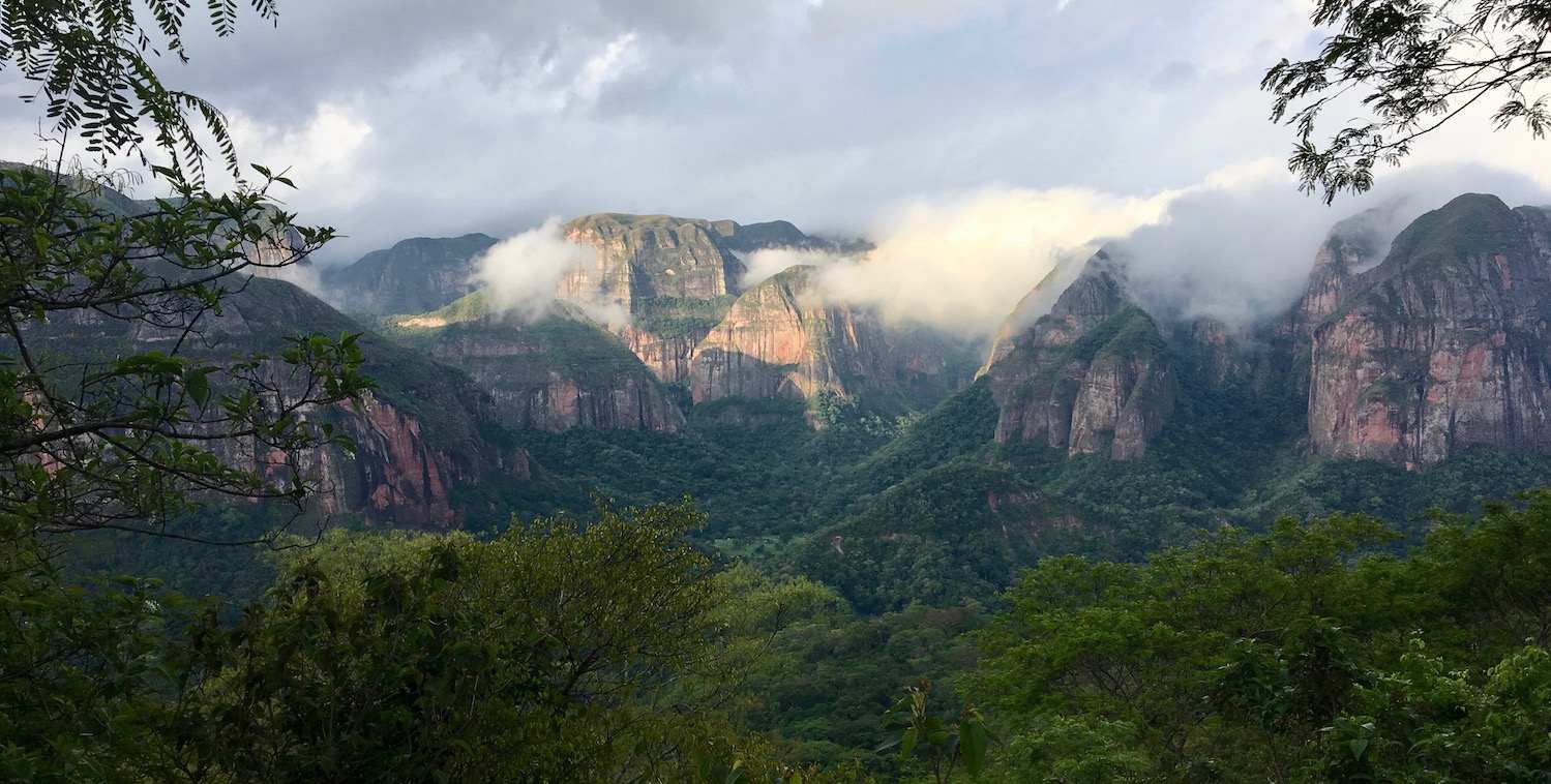 緑豊かな森は、ボリビアのアンボロ国立公園の石の多い山々の前にあります。