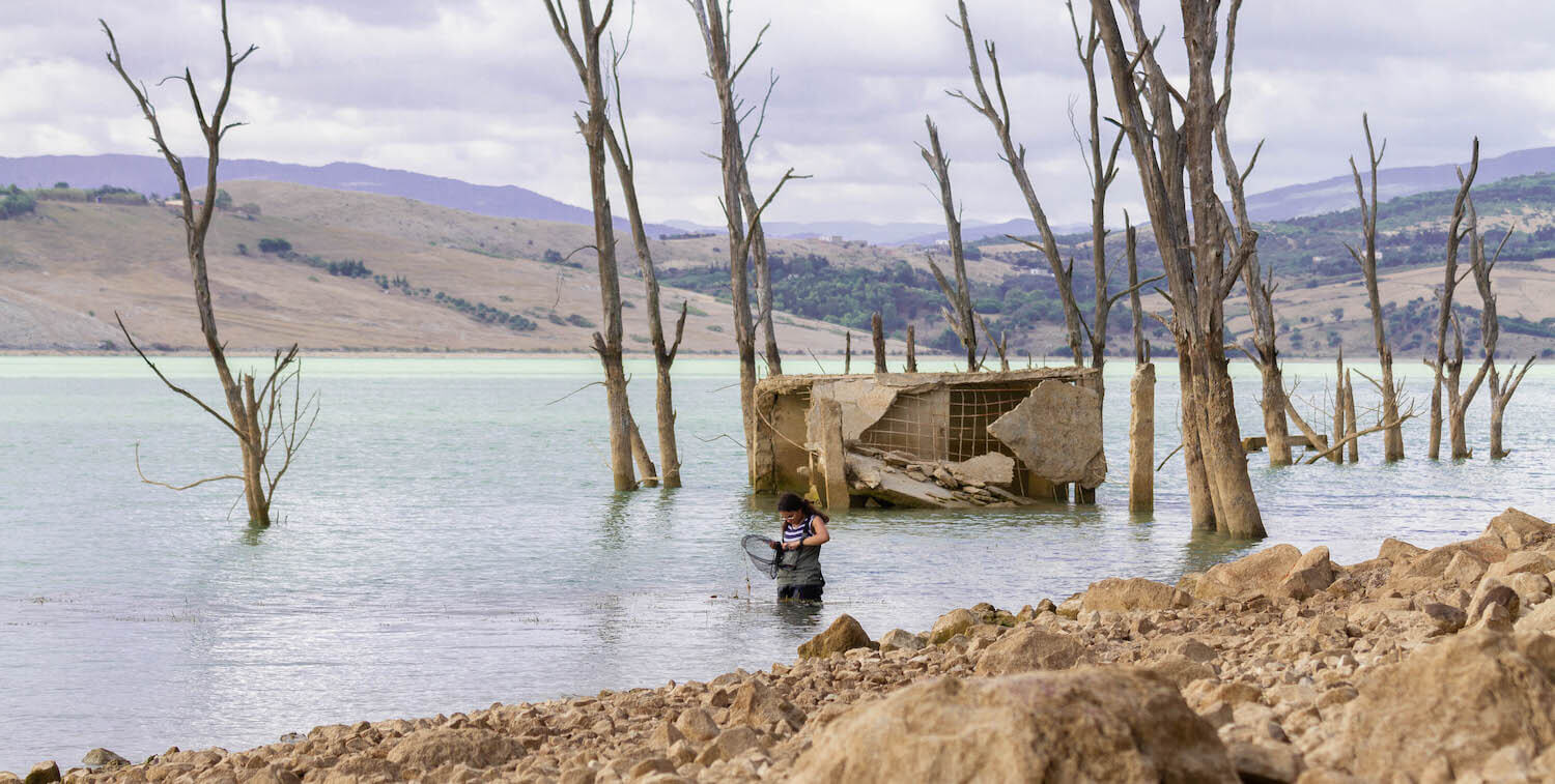 Woman standing in shallow water, looking into net she's holding above service.