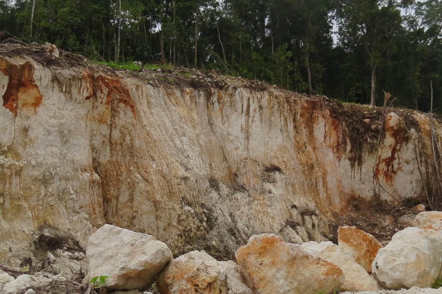 Cliff caused by mining, trees above.