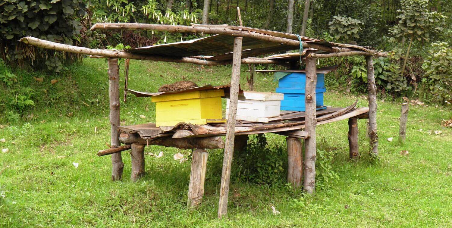 Cajas apícolas sobre tarima de madera.