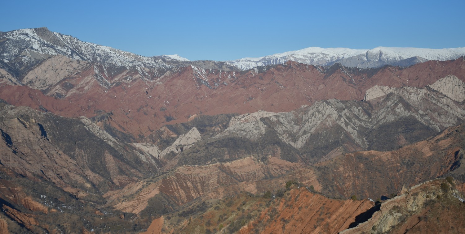 Mountain landscape with snowy and red ridges dotted with vegetation.