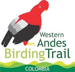 Logo: Drawing of Andean cock-of-the-rock with words "Western Andes Birding Trail, Colombia."