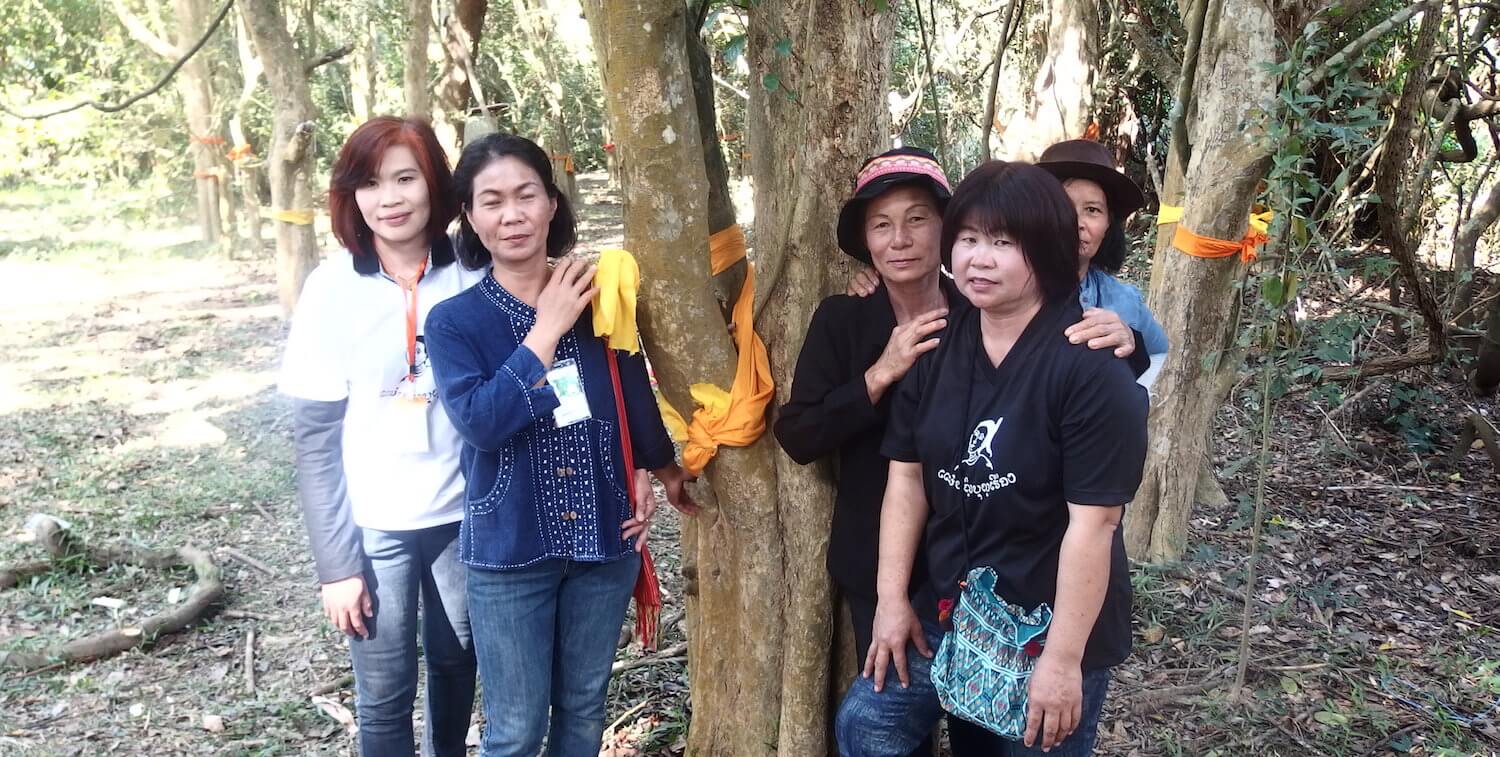 Five women standing next to several trees with yellow ribbons tied to them. 
