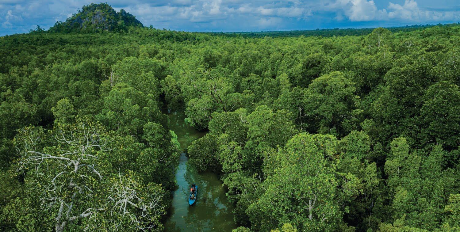 High-level view of canoe on narrow river going through forest.