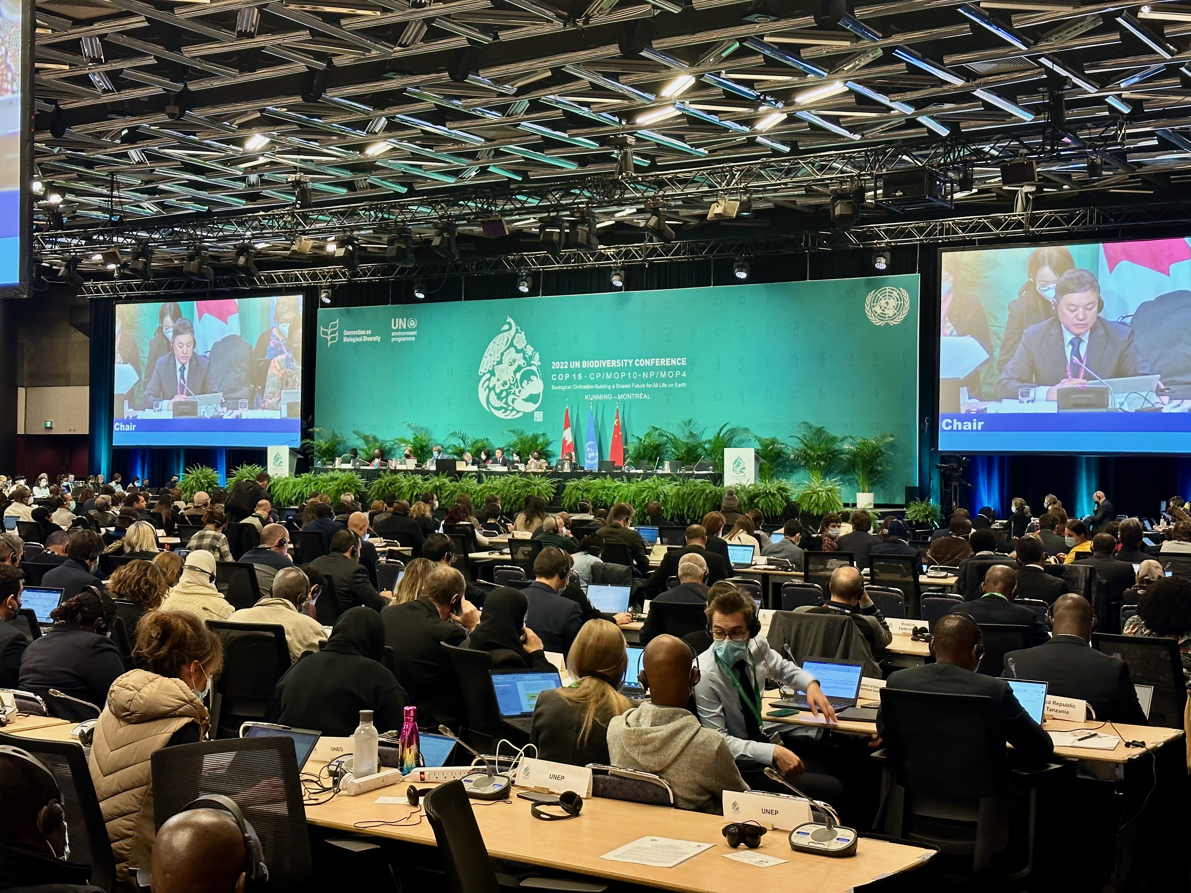 CBD COP 15