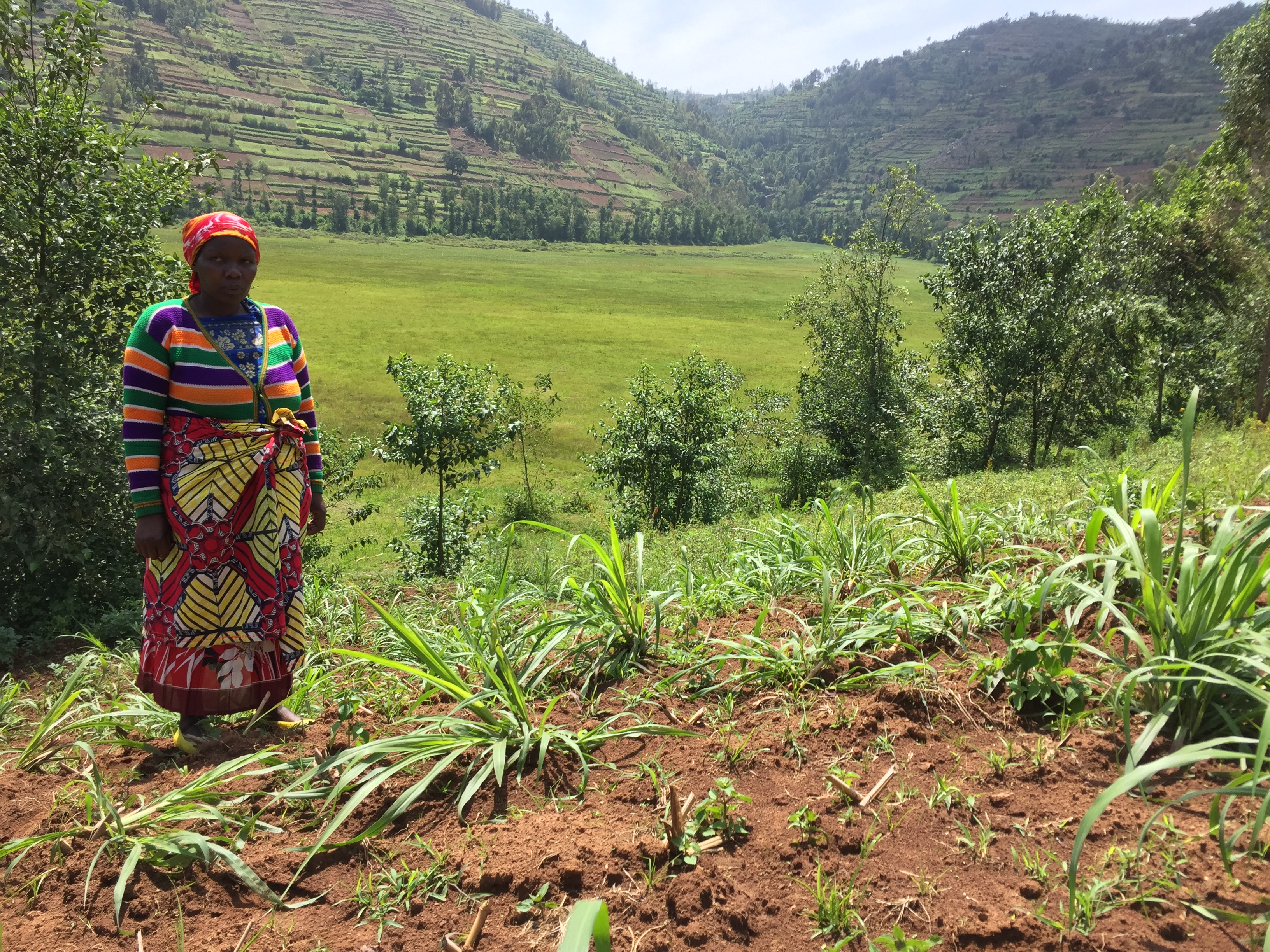 A woman stands in a planted field