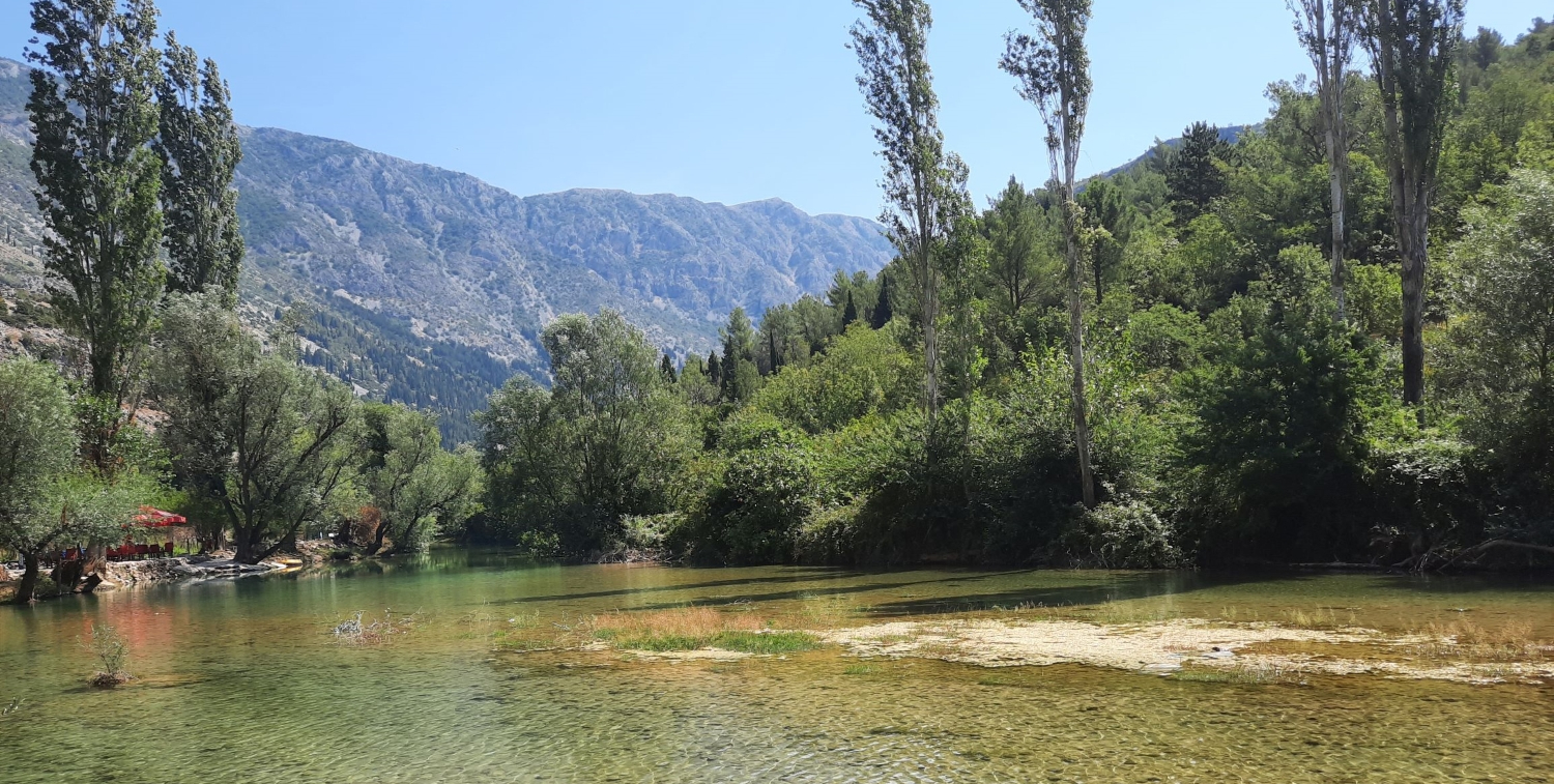 River in a valley surrounded by green trees.