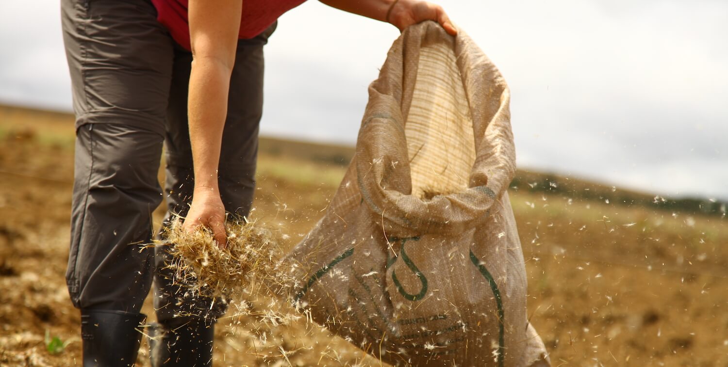 Woman distributing seed from bag.