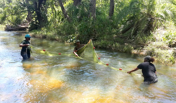Three people standing in waste-deep water holding out yellow net.
