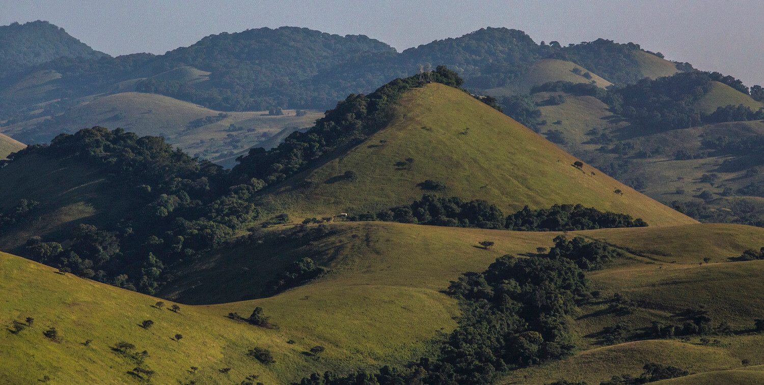 Landscape of rolling, green hills.
