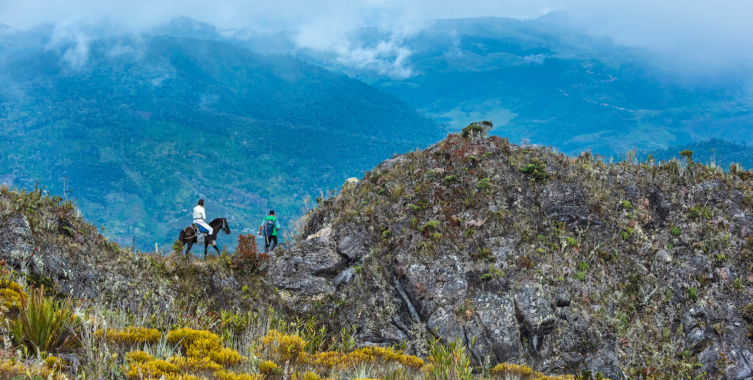 Man on foot leads woman on horse on undulating terrain.