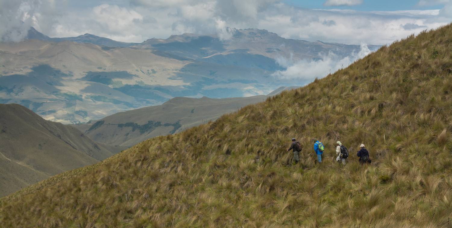 Small group of people crosses a grassy mountain landscape.
