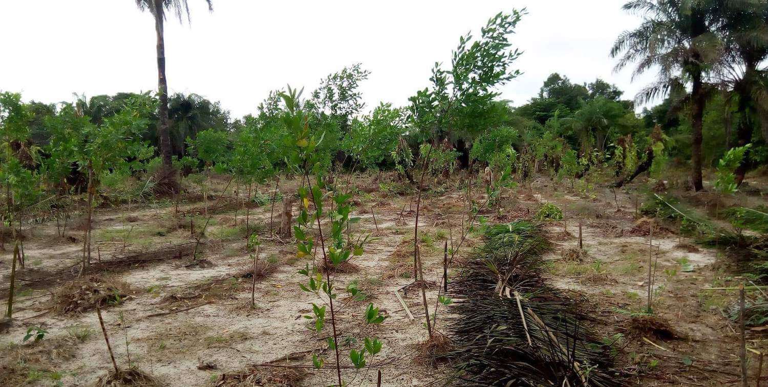 Degraded farmland