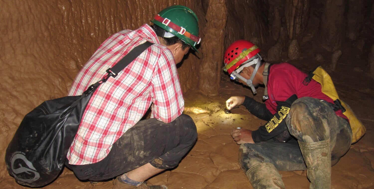 Two men wearing hard hats inside a cave, looking at specimen.
