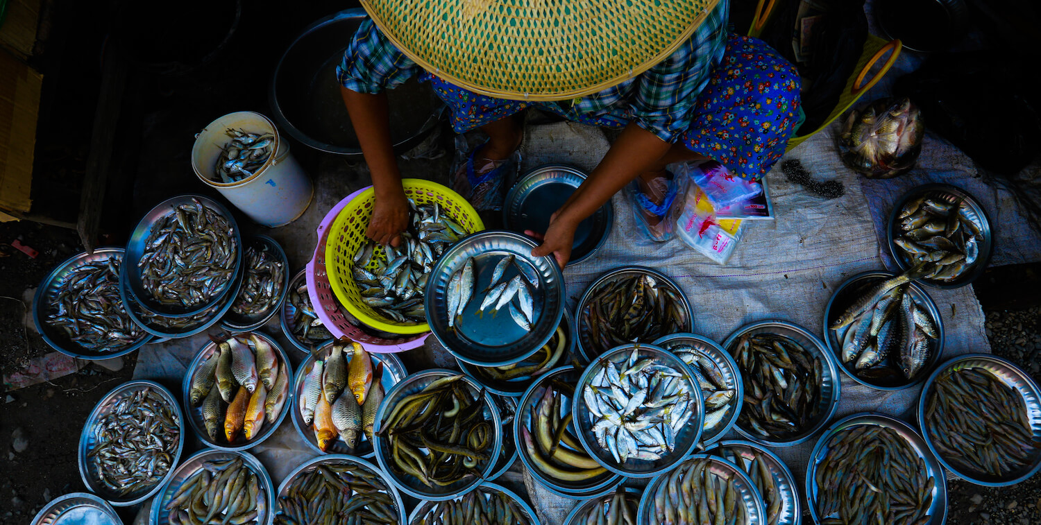 丸い帽子をかぶって、さまざまな魚を丸いボウルに入れて売っている人の俯瞰図。