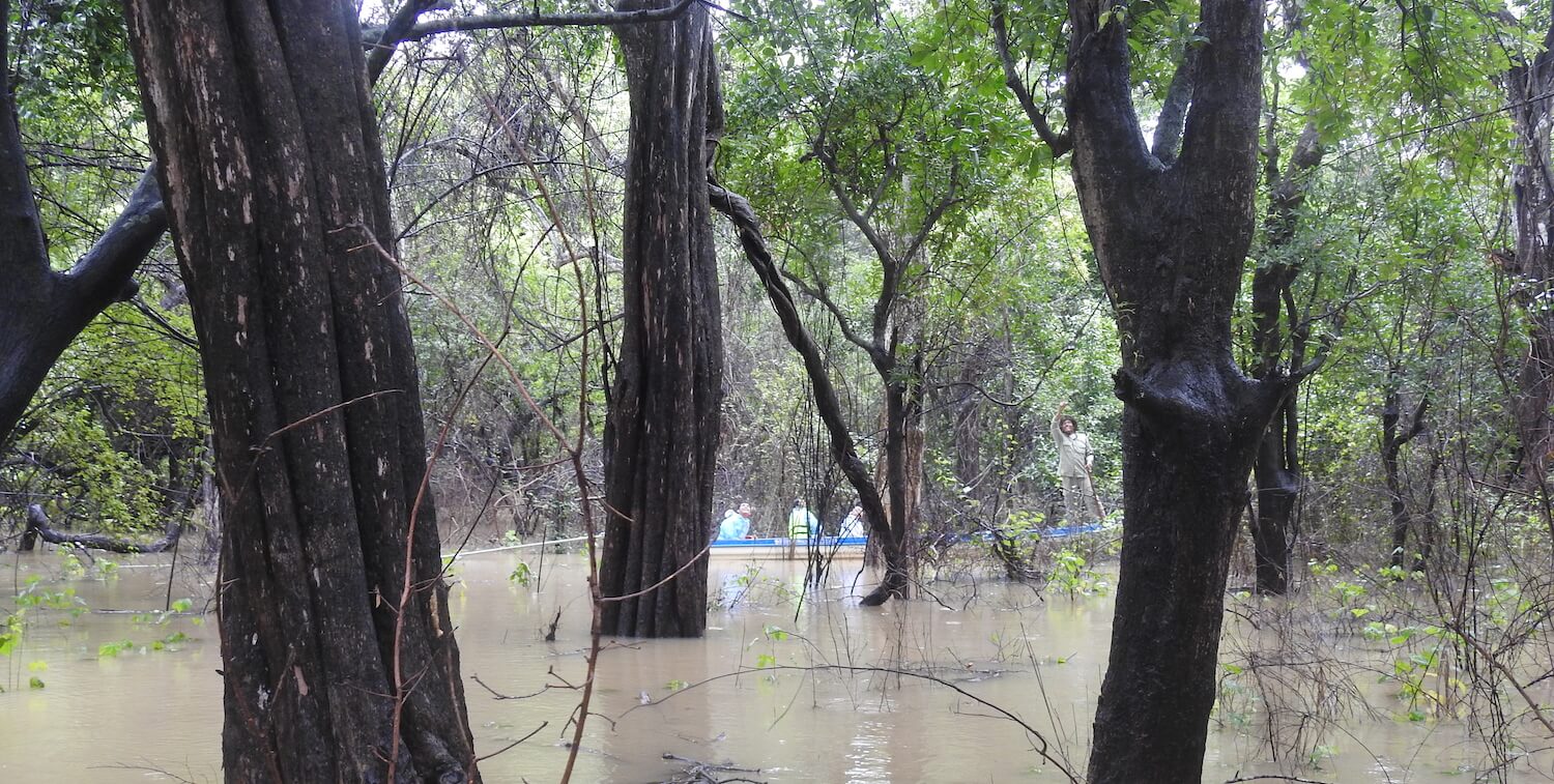 Flooded lake with canoe in background.