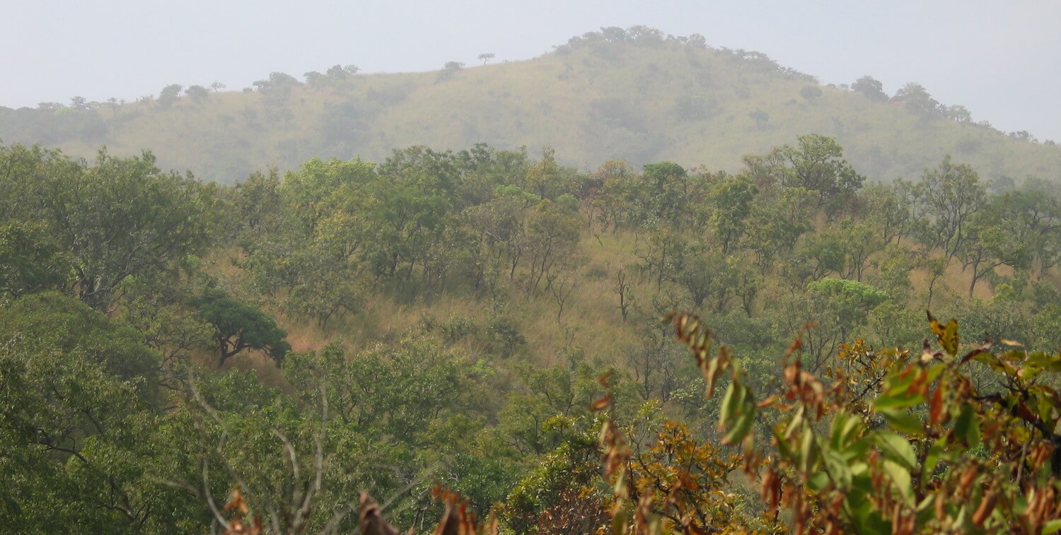 Terreno montañoso y verde.